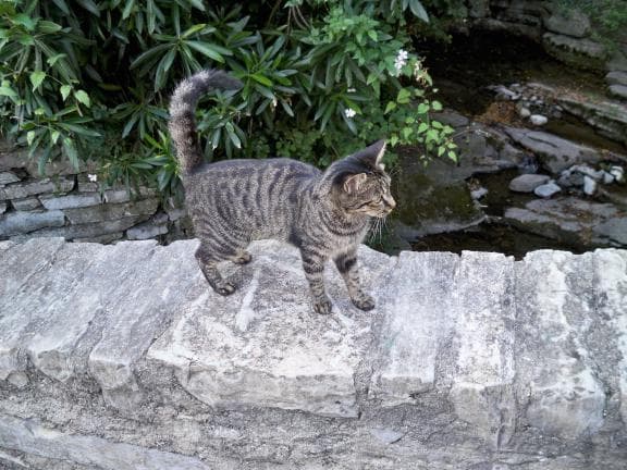 image from 20080902-175055.jpg