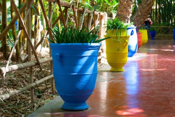 image from 20140830-153205.jpg