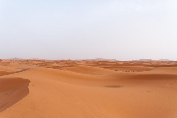 image from 20140904-083344.jpg