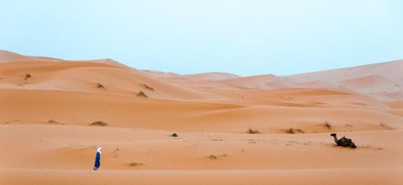 image from 20140905-070106.jpg