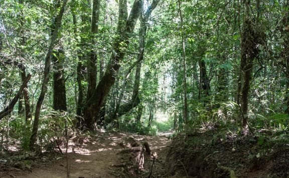 image from 20150903-090806.jpg