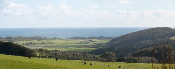 image from 20180923-154723.jpg