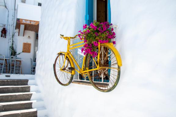 image from 20200822-125837.jpg